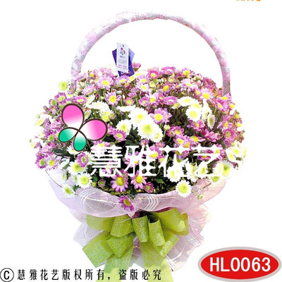 小雛菊花籃 一抹淡雅花語，織就你心動(dòng)瞬間的生活序詩